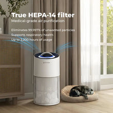 Load image into Gallery viewer, Sterra Paws™ True HEPA-14 Pet Air Purifier + Sterra Flow™ Cordless Vacuum Bundle
