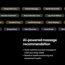 将图片加载到图库查看器，Oasis Massage Chair
